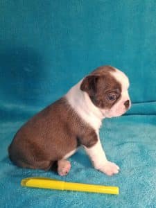 Babies get their personalities from their parents and even grandparents. Little Blue Ray's personality is fabulous - 3.5 weeks